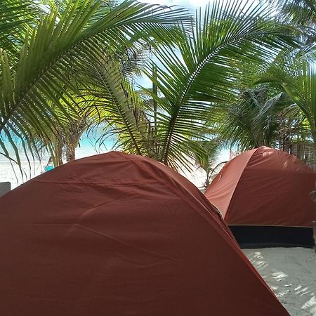 Chavez Eco Beach Camping And Cabanas トゥルム 部屋 写真