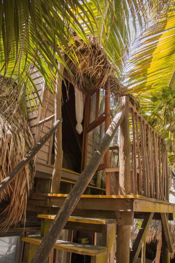 Chavez Eco Beach Camping And Cabanas トゥルム エクステリア 写真