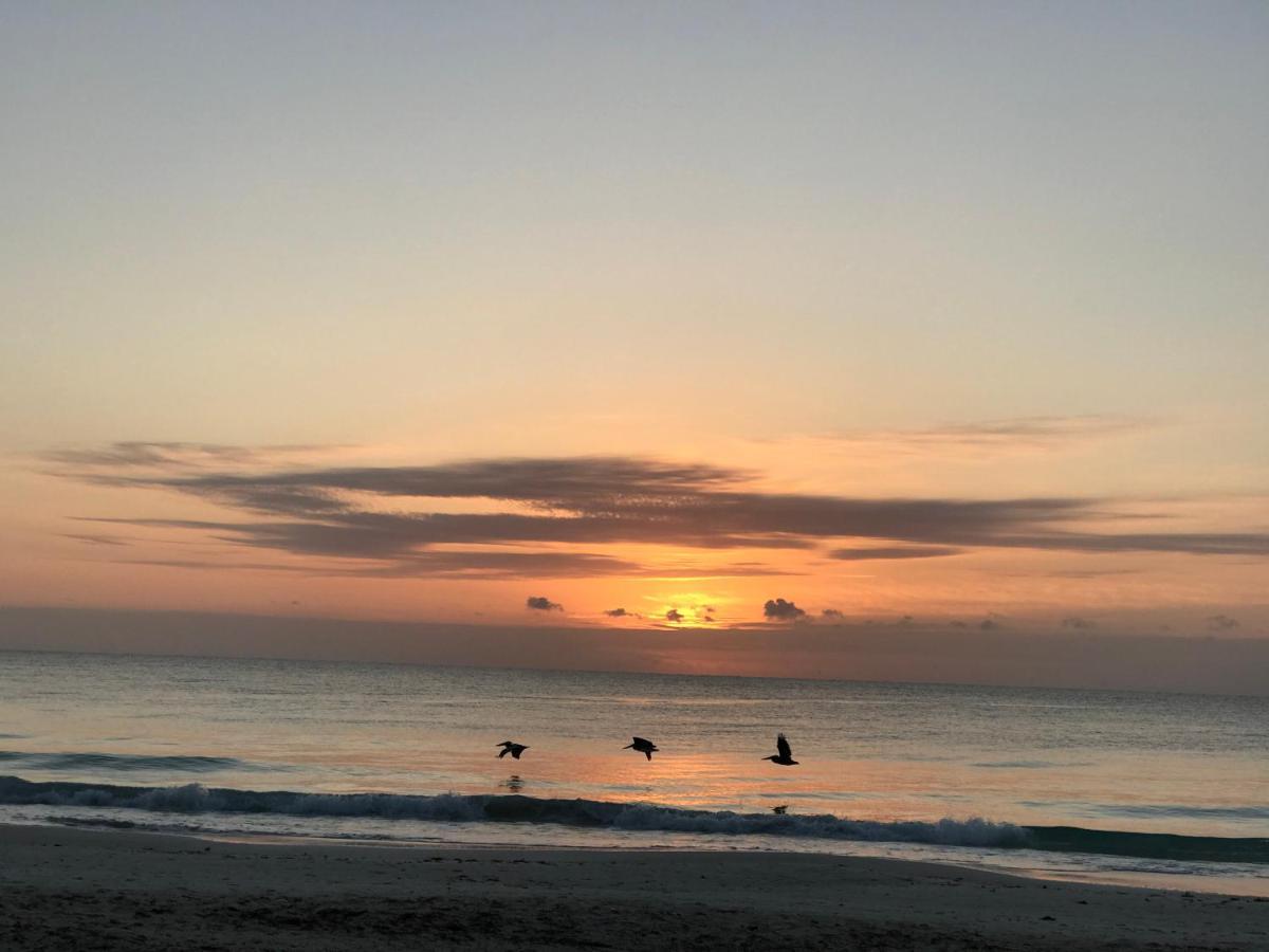 Chavez Eco Beach Camping And Cabanas トゥルム エクステリア 写真