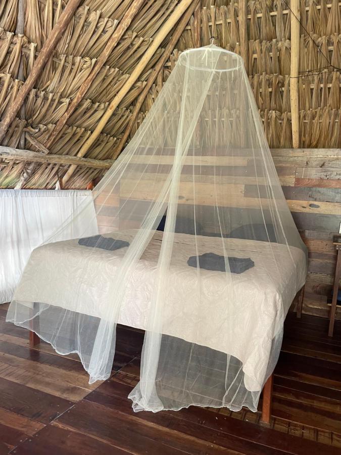 Chavez Eco Beach Camping And Cabanas トゥルム エクステリア 写真