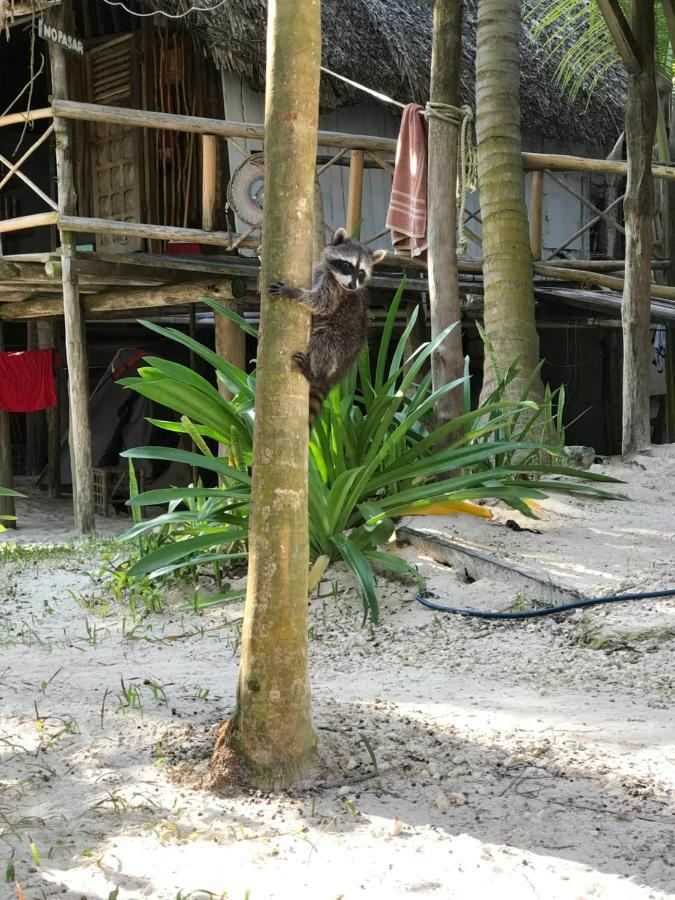 Chavez Eco Beach Camping And Cabanas トゥルム エクステリア 写真