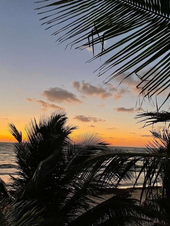 Chavez Eco Beach Camping And Cabanas トゥルム エクステリア 写真