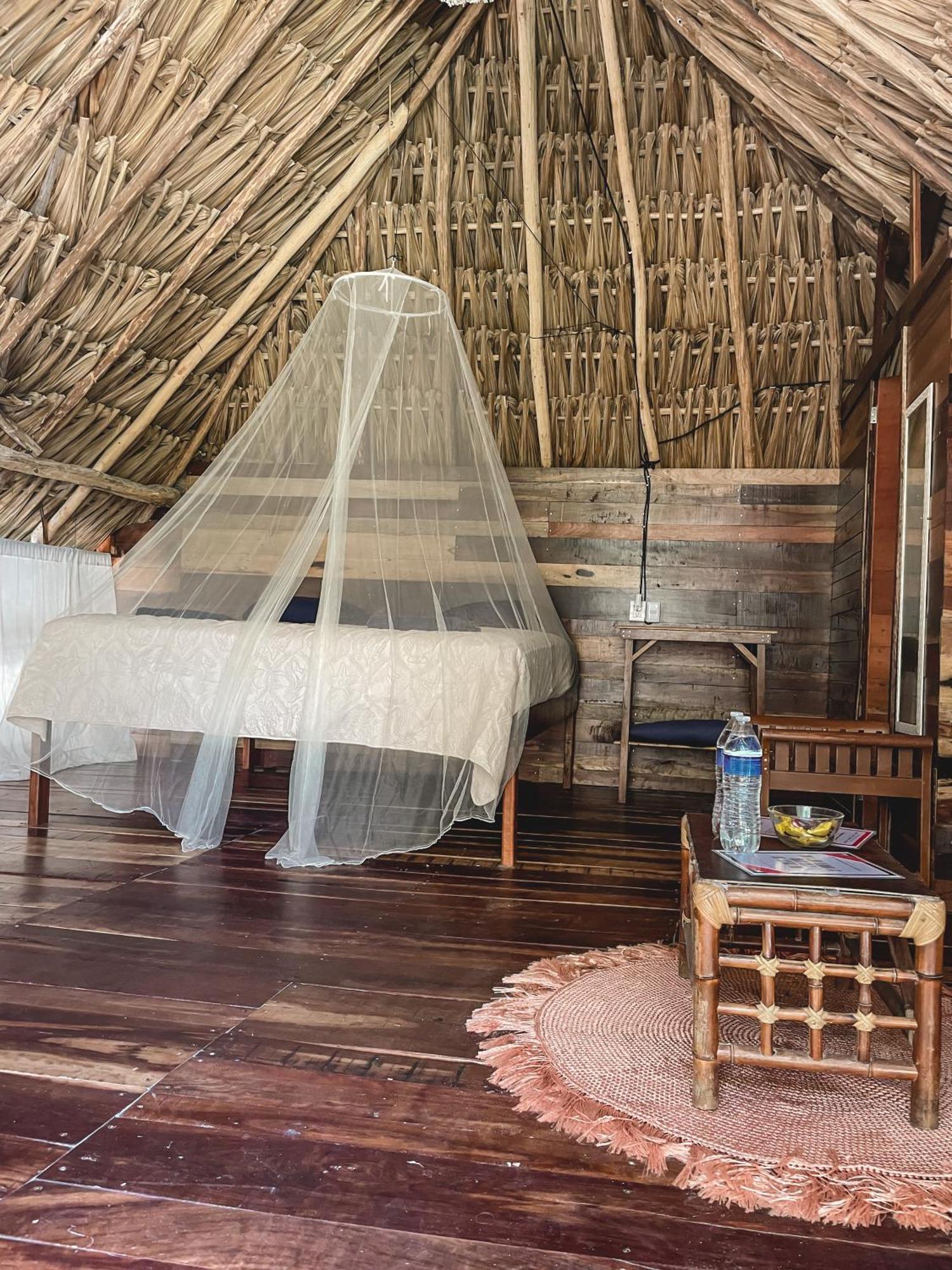 Chavez Eco Beach Camping And Cabanas トゥルム 部屋 写真
