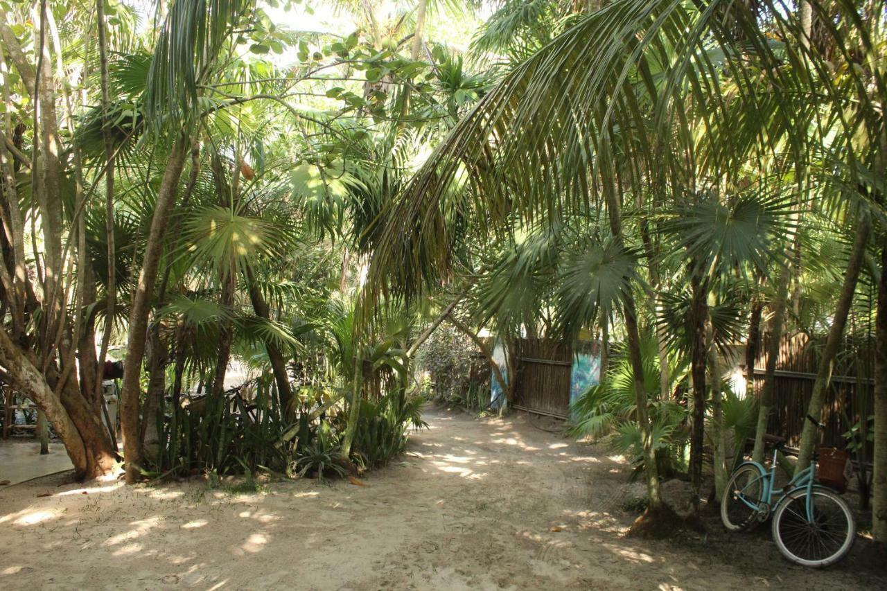Chavez Eco Beach Camping And Cabanas トゥルム エクステリア 写真